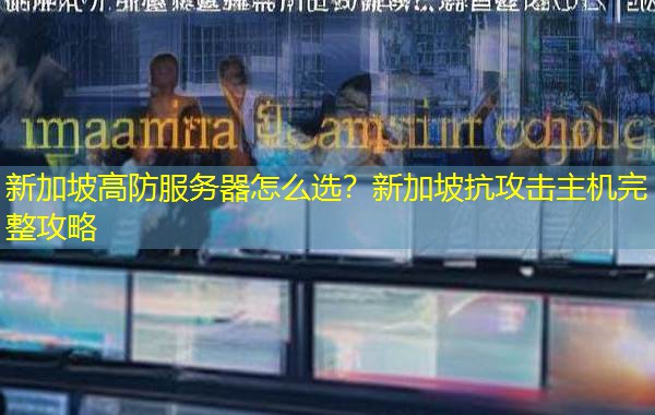 新加坡高防服务器怎么选？新加坡抗攻击主机完整攻略