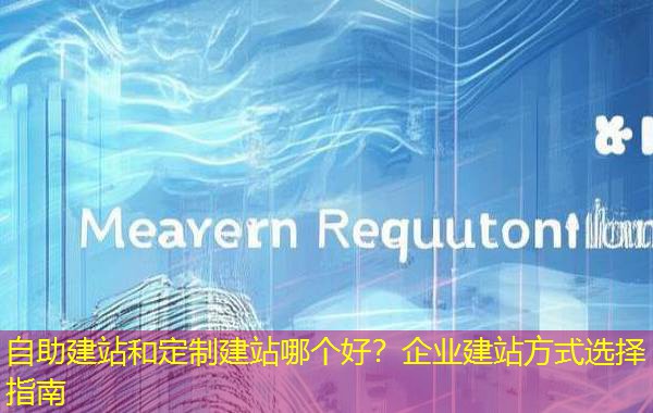 自助建站和定制建站哪个好？企业建站方式选择指南