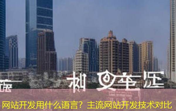 网站开发用什么语言？主流网站开发技术对比