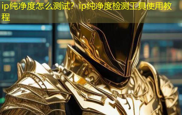 ip纯净度怎么测试?ip纯净度检测工具使用教程 ip纯净度怎么测试?ip纯净度检测工具使用教程