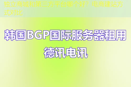 独立商城和第三方平台哪个好？电商建站方式对比