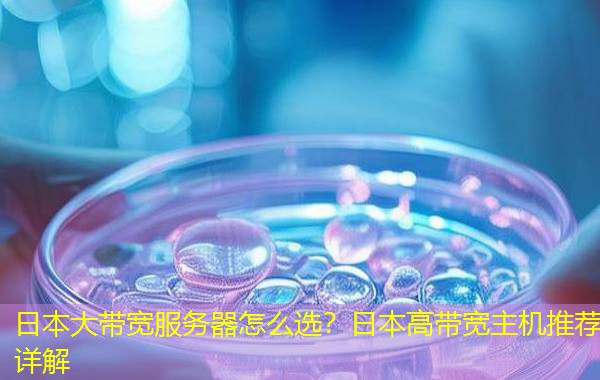 日本大带宽服务器怎么选?日本高带宽主机推荐详解 日本大带宽服务器怎么选?日本高带宽主机推荐详解