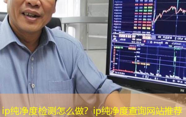 ip纯净度检测怎么做?ip纯净度查询网站推荐 ip纯净度检测怎么做?ip纯净度查询网站推荐