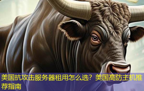 美国抗攻击服务器租用怎么选?美国高防主机推荐指南 美国抗攻击服务器租用怎么选?美国高防主机推荐指南