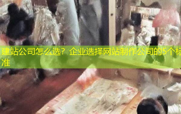 建站公司怎么选？企业选择网站制作公司的5个标准