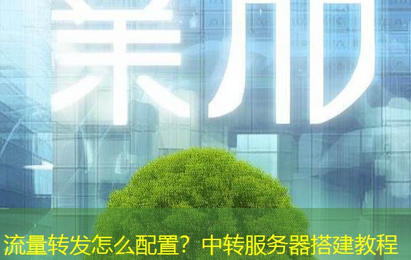 流量转发怎么配置？中转服务器搭建教程