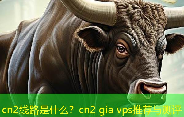 cn2线路是什么?cn2 gia vps推荐与测评 cn2线路是什么?cn2 gia vps推荐与测评