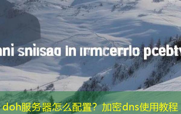 doh服务器怎么配置？加密dns使用教程
