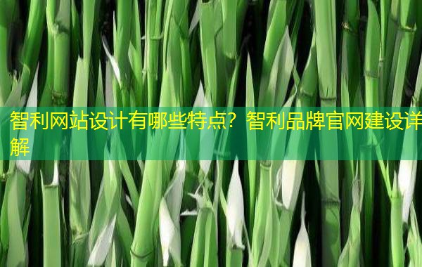 智利网站设计有哪些特点?智利品牌官网建设详解 智利网站设计有哪些特点?智利品牌官网建设详解