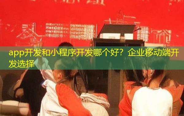 app开发和小程序开发哪个好？企业移动端开发选择