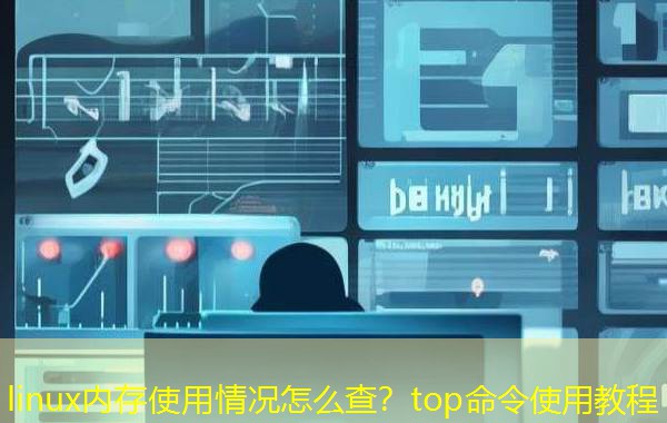 linux内存使用情况怎么查？top命令使用教程