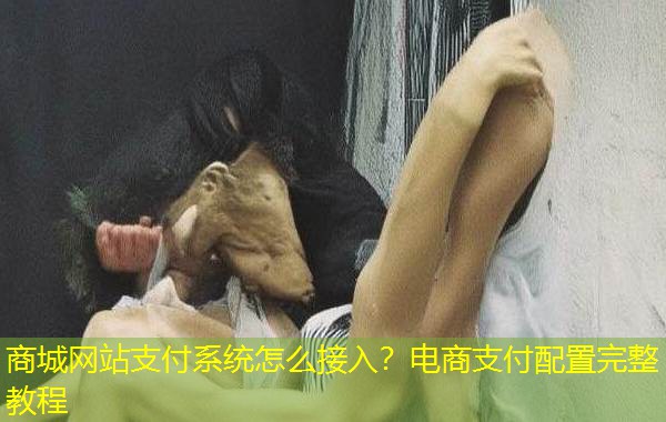 商城网站支付系统怎么接入？电商支付配置完整教程