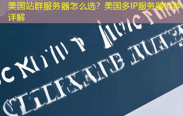 美国站群服务器怎么选？美国多IP服务器推荐详解