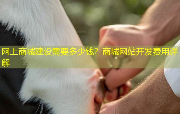 网上商城建设需要多少钱？商城网站开发费用详解
